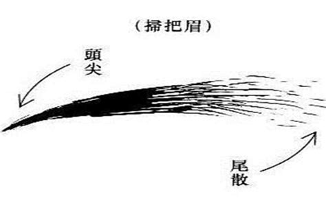 男人掃帚眉|大掃把眉男人面相代表的寓意